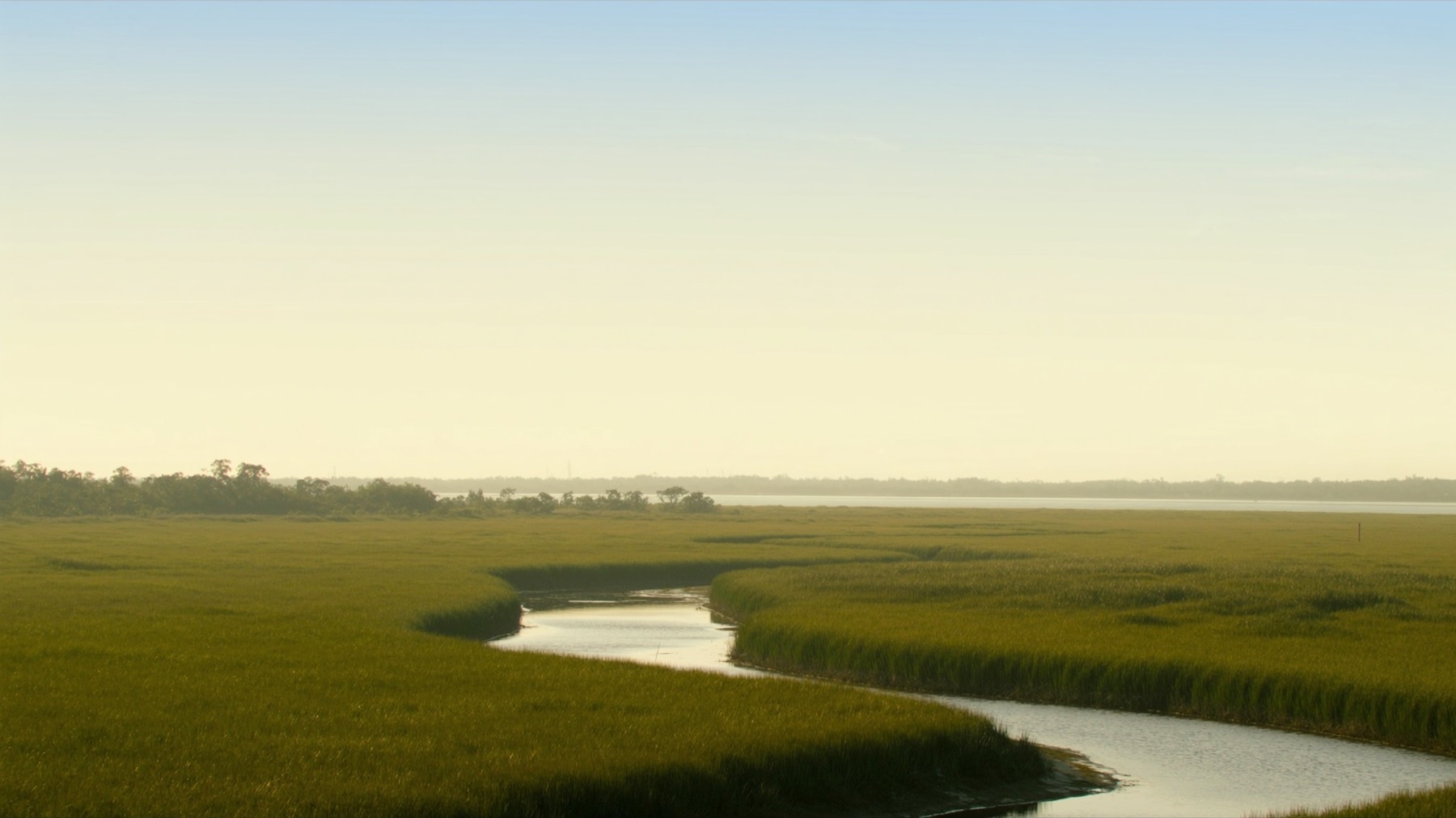 Lowcountry salt marsh at sunset